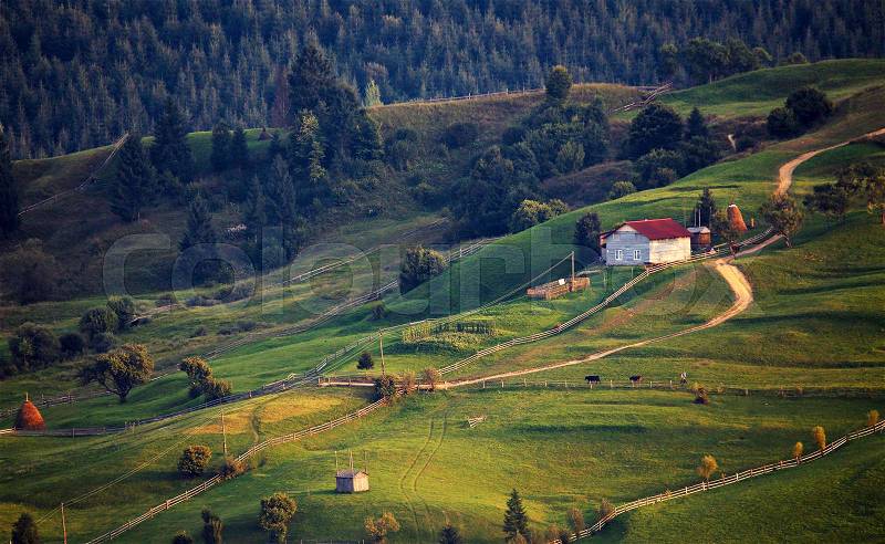 September rural scene in Carpathian mountains. Authentic village and fence, stock photo
