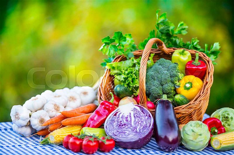 Vegetables. Fresh mix vegetable on table in the background garden. Assortment of fresh vegetables close up, stock photo