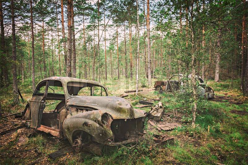 Image of forest cemetery of old, rusty cars. , stock photo