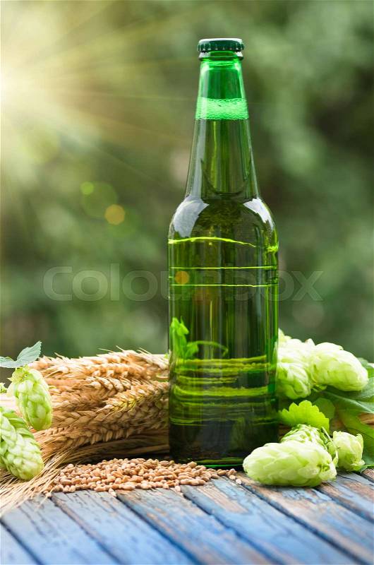 Green bottle of beer, hops, malt, barley ears standing on an old table on natural background, stock photo