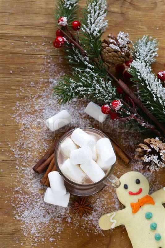 Sweet hot cocoa with marshmallows, winter Christmas drink, stock photo