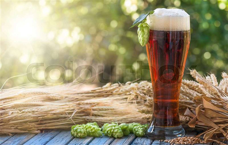 Large glass dark beer, kvass, malt, hops, barley ears standing on an old wooden table dyeing, natural background, stock photo