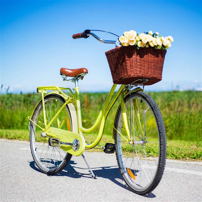 Retro bicycle with wicker basket and flowers on the road in countryside, stock photo