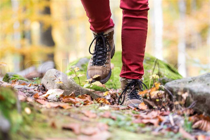 Close up of legs of unrecognizable woman in autumn nature walking from rock covered with green moss. Hiking shoes, stock photo