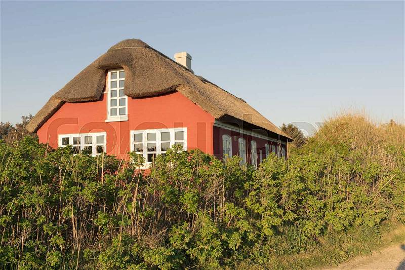 Typical Scandinavian house thatched roof, stock photo