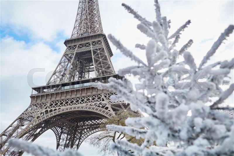 Christmas tree covered with snow near the Eiffel tower in Paris, France, stock photo