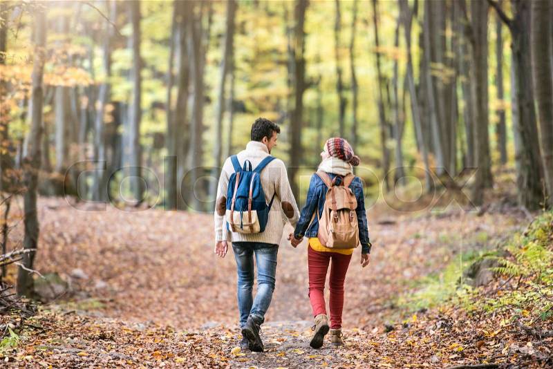 Beautiful couple on a walk in colorful autumn forest. Rear view, stock photo