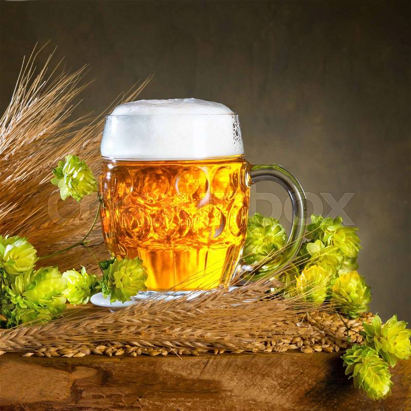 Glass of beer and raw material for beer production, stock photo