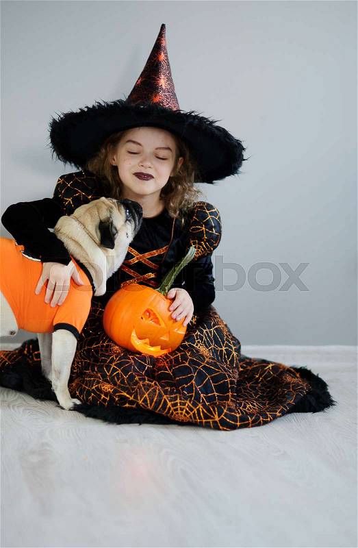 Little girl and her friend - pug are dressed in suits for Halloween. Girl in an image of evil fairy sits on a floor. On a doggie have put on an orange sweater. Girl holds pumpkin and embraces pug, stock photo