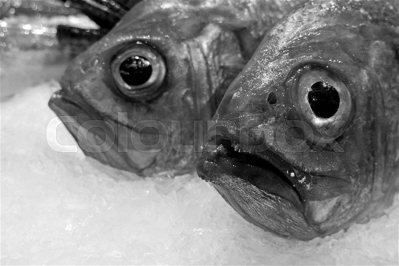 Fresh fish on a market, stock photo