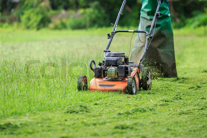 A worker mowing grass in the garden, stock photo