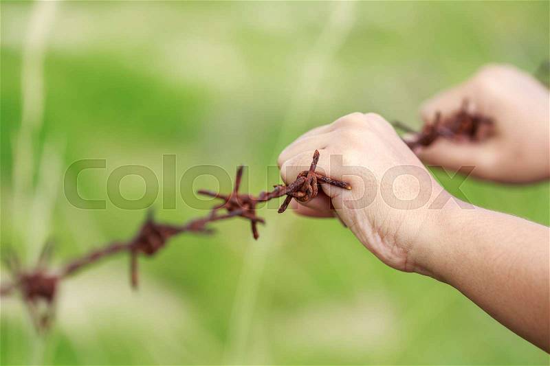 Close up hands hanging on old metal rusty barbed wire, stock photo