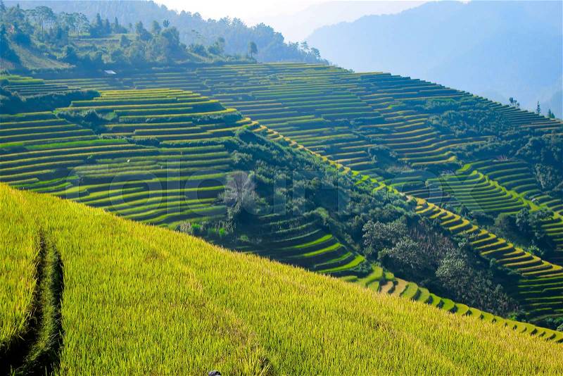 Beautiful view of house and village in rice terrace at tu le ,mu cang chai , vietnam, stock photo