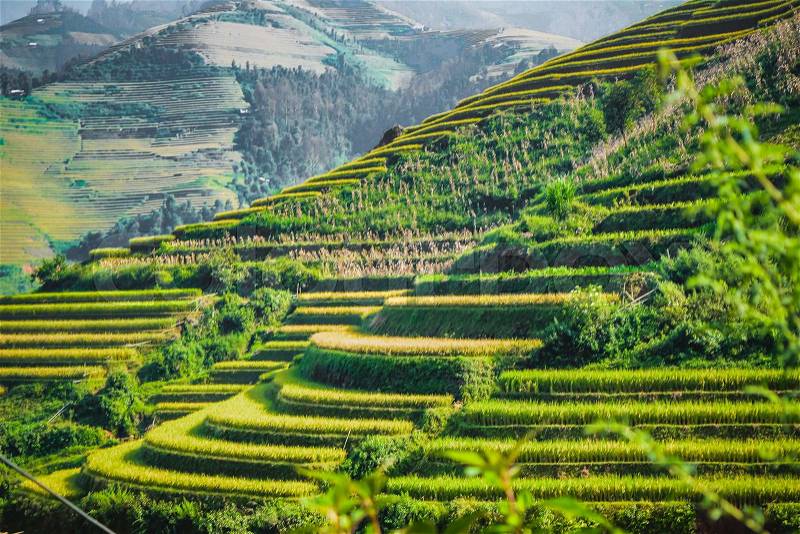 Beautiful view of house and village in rice terrace at tu le ,mu cang chai , vietnam, stock photo