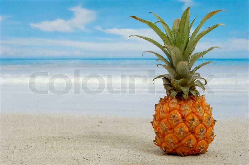 Pineapple on an exotic beach with blue and cloudy sky, stock photo
