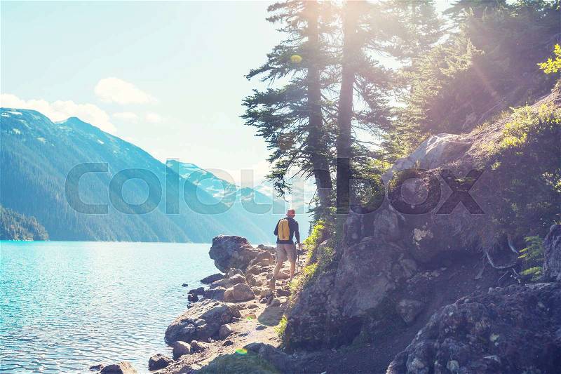 Hiking man in Canadian mountains. Hike is the popular recreation activity in North America. There are a lot of picturesque trails, stock photo