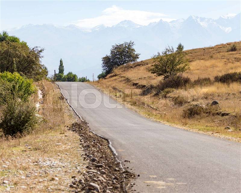 Asphalt road in nature, stock photo
