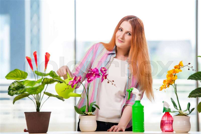 Redhead woman taking care of plants at home, stock photo