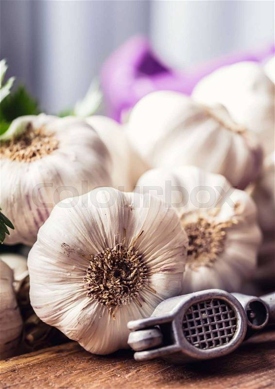 Garlic. Bunch of fresh garlic with celery herbs, stock photo