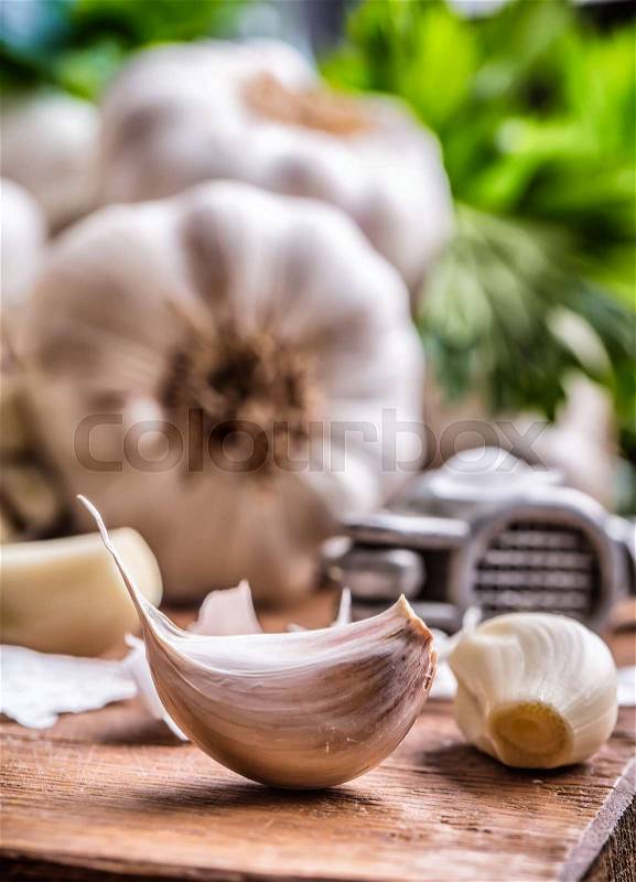 Garlic. Bunch of fresh garlic with celery herbs, stock photo