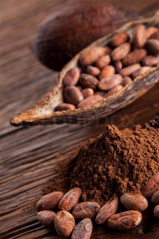 Cacao beans and powder and food dessert background, stock photo