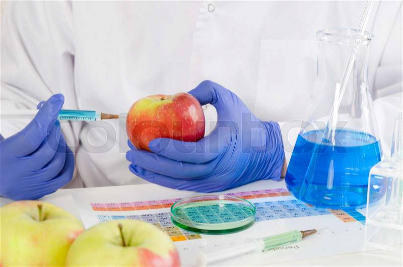 Technician uses a syringe. Genetic GMO modification of fruits and vegetables concept, stock photo
