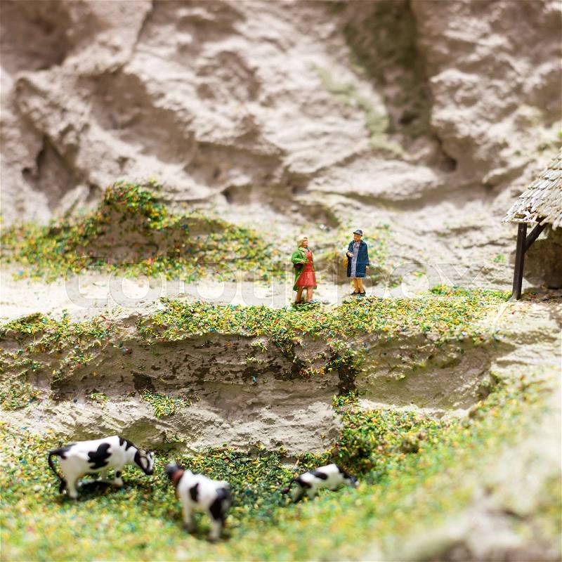 Miniature people: two woman standing on a mountain path and talking near grazing cows. Macro photo, shallow DOF, stock photo