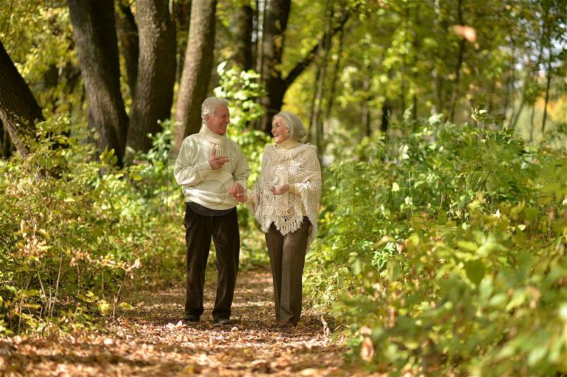 Beautiful happy elderly couple walking in the autumn park, stock photo