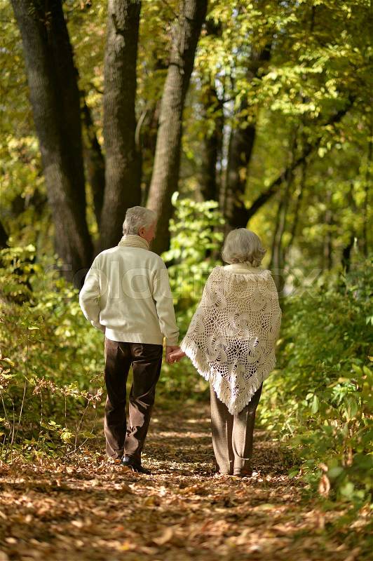 Happy elderly couple goes away through the alley in autumn park, stock photo