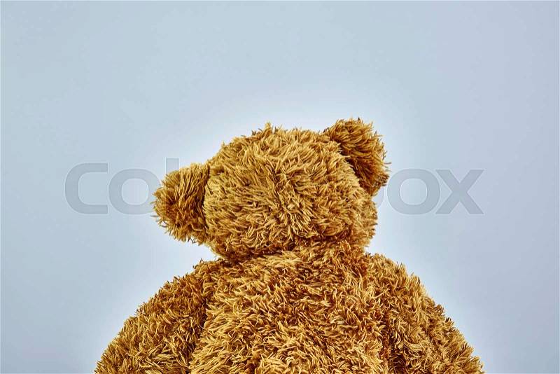 A studio photo of a toy bear, stock photo