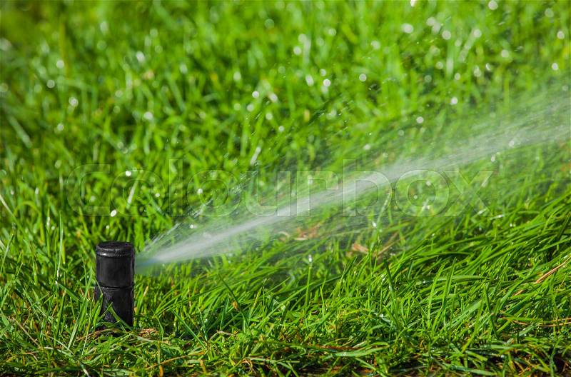 Irrigation system watering the lawn in the park, stock photo