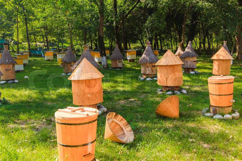 Apiary honey bee house . Bee, honey, bee house, honeycomb. Honey natural healthy food production, stock photo