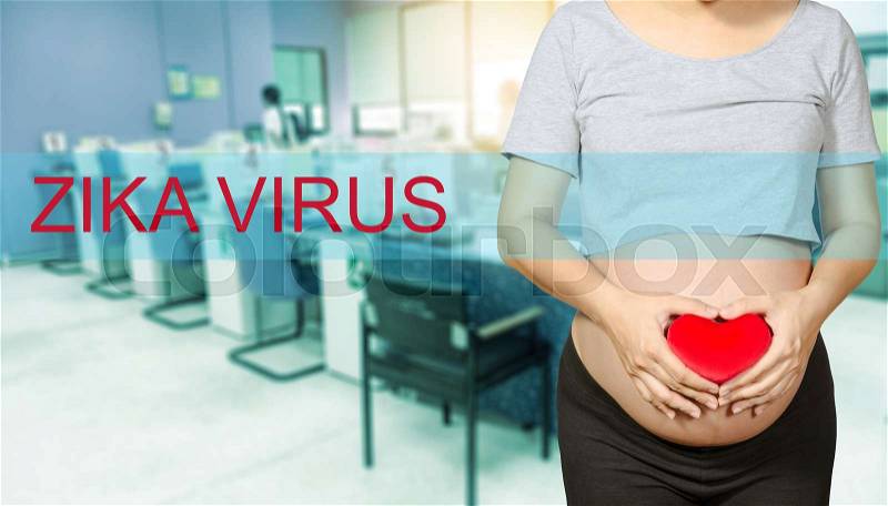 Zika virus concept, Pregnant female with red heart in her hand, on blur focus in labaratory background, stock photo