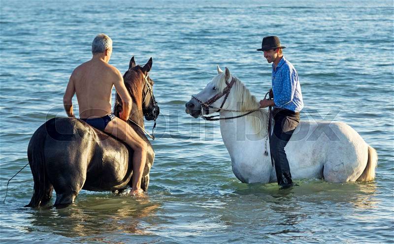 Two riders walking with their horses in the sea, stock photo