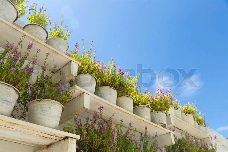 Flower pot on the floor. Wooden shelves in the garden at the back is a bright sky, stock photo