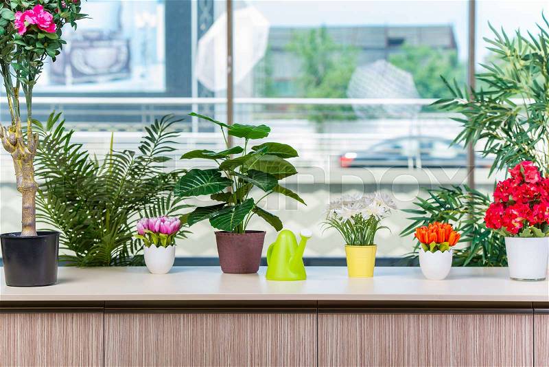 Various flowers arranged in flower pots at hme, stock photo