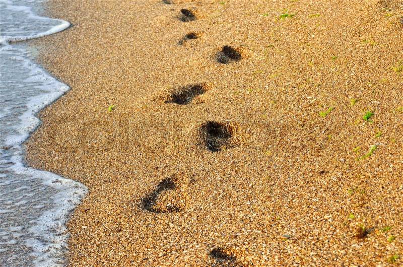 Footprints in the sand of the sea. Footprints of bare feet on the beach, stock photo