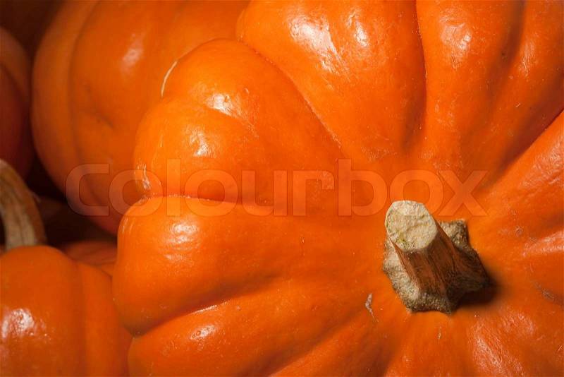 Small orange pumpkins symbolising autumn holidays and used in decorative works, stock photo