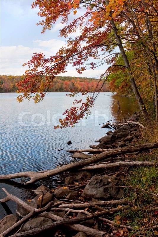 A gorgeous autumn scene with a lake and trees showing the bright colors of fall in New England, stock photo