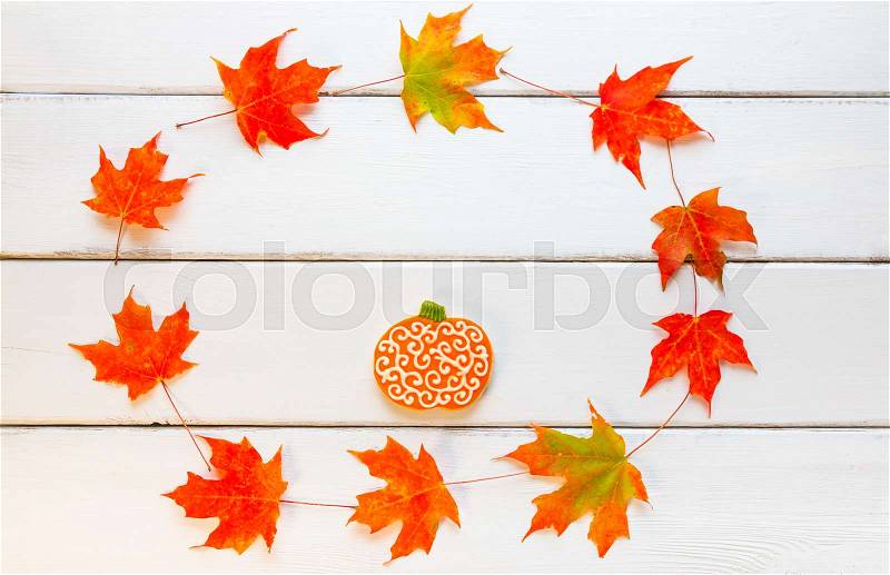 Pumpkin cookie on white wooden background in circle frame of autumn maple leaves. Top view, stock photo