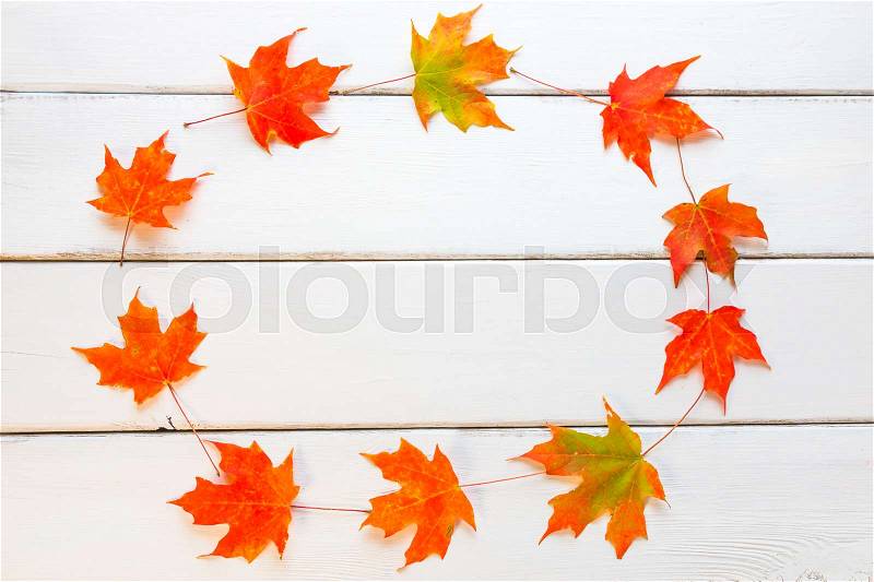 Circle frame of autumn maple leaves on white wooden background with copy space for your text, stock photo