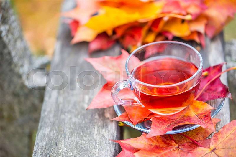 Autumn red tea. Cup of tea with autumn leaves on wooden board, stock photo