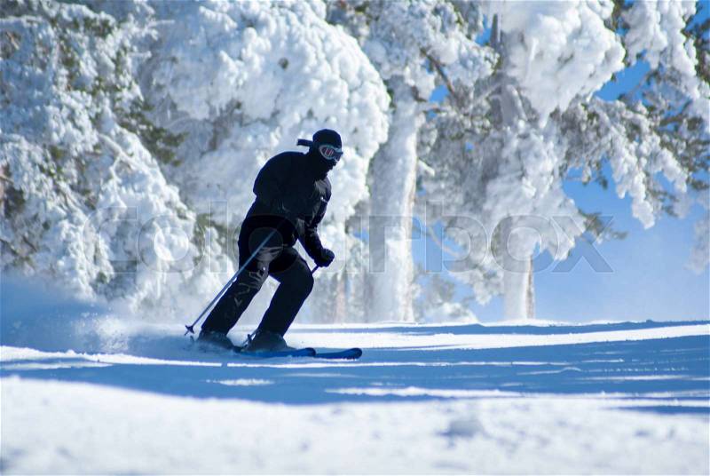 Skiing, winter, woman,men, skiing downhill, stock photo