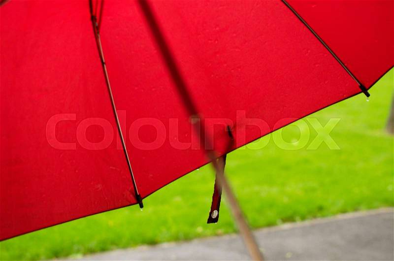 View to the umbrella under the rain during the summer, stock photo