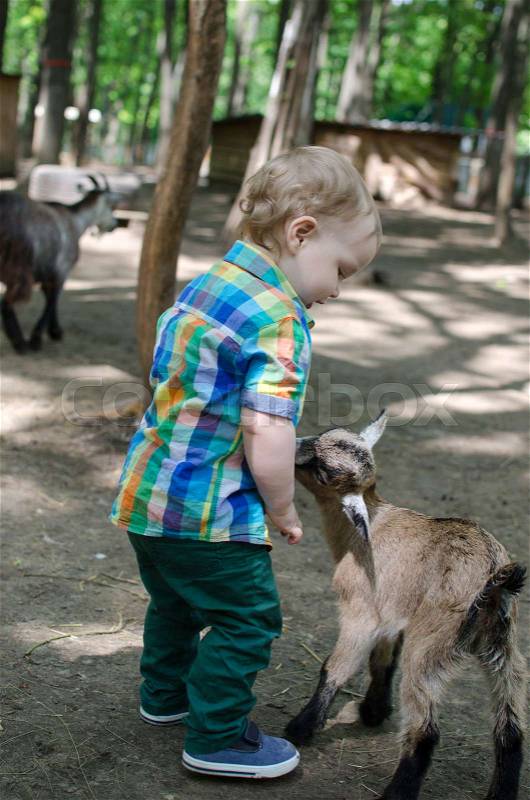 Small baby boy is playing with animals in the park, stock photo