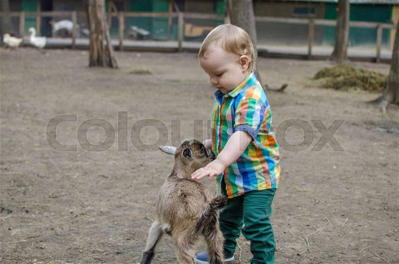 Small baby boy is playing with animals in the park, stock photo