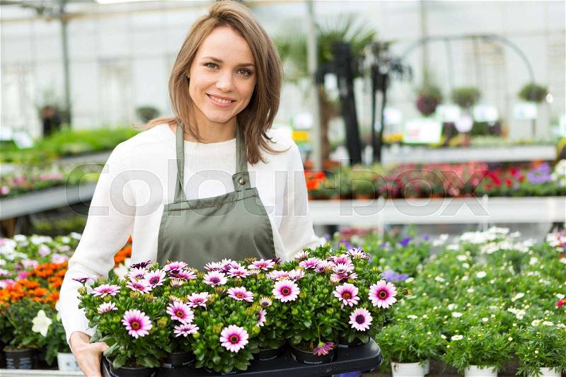 View of a Young attractive woman working at the plants nursery, stock photo