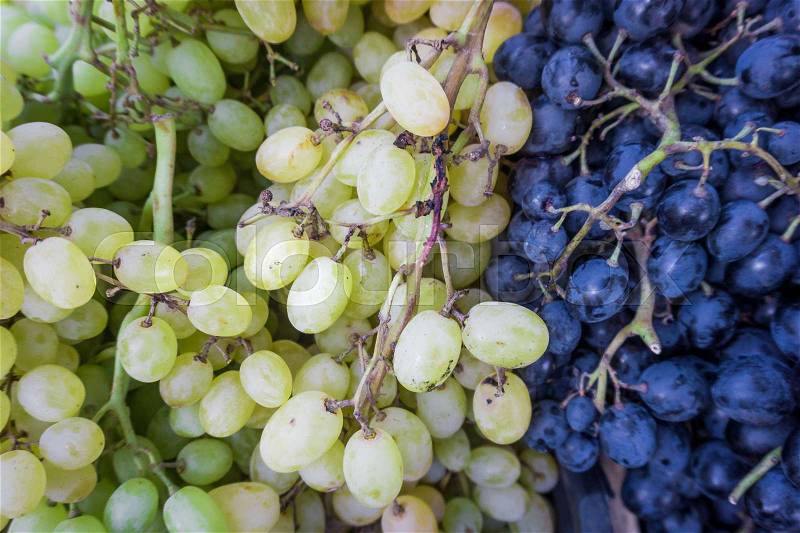 Grape. Wine grapes background.Dark grapes, blue grapes, white grapes,Grapes an market, stock photo