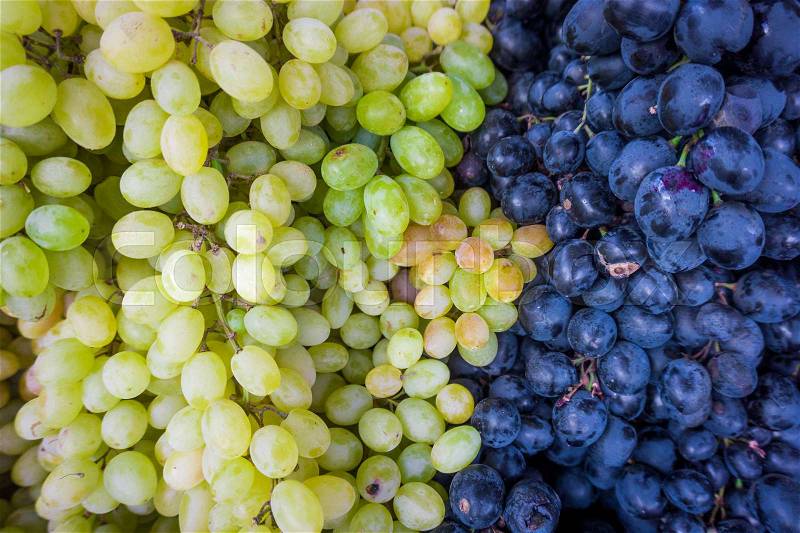 Grape. Wine grapes background.Dark grapes, blue grapes, white grapes,Grapes an market, stock photo