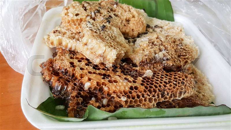 Honeycomb and royal Jelly from forest, stock photo